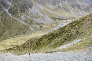 IMG_5392